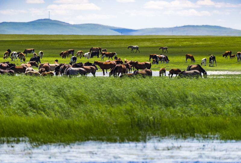 科技与自然交融，内蒙古智造引领未来生活新篇章