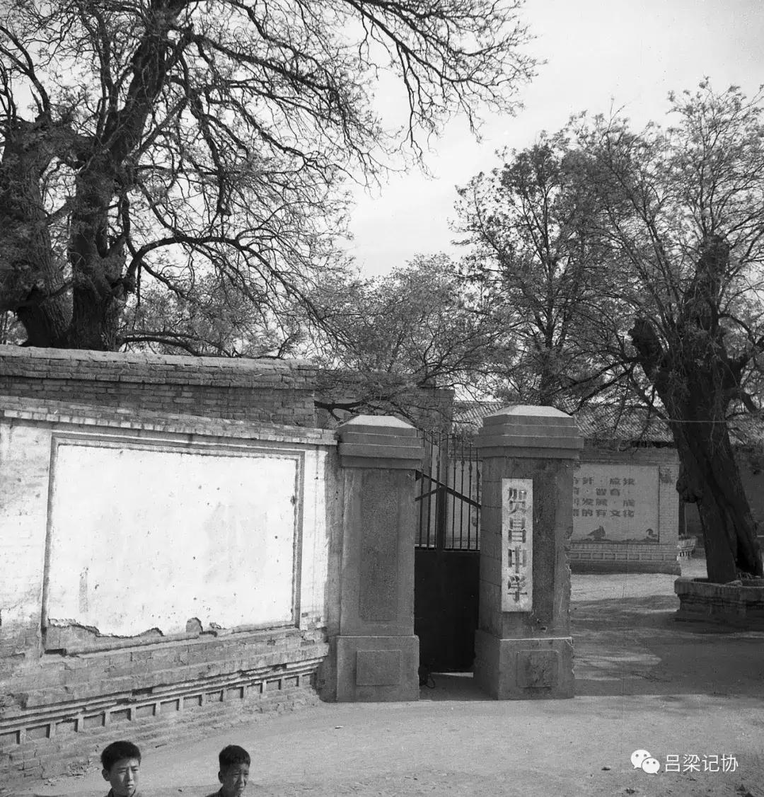 吕梁小巷深处的独特风味美食之旅